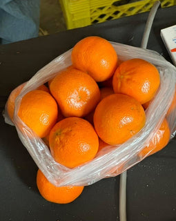 Clementine Oranges