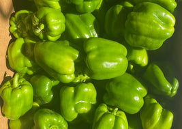 Green Bell Peppers (BC)