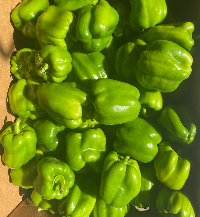 Green Bell Peppers (BC)