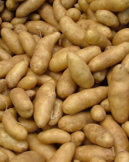 Fingerling Potatoes (BC)