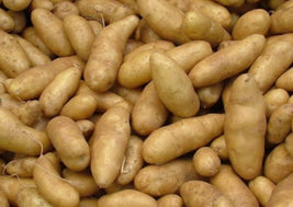 Fingerling Potatoes (BC)