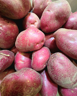 Red Potatoes (BC)