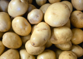 Yellow Potatoes (BC)