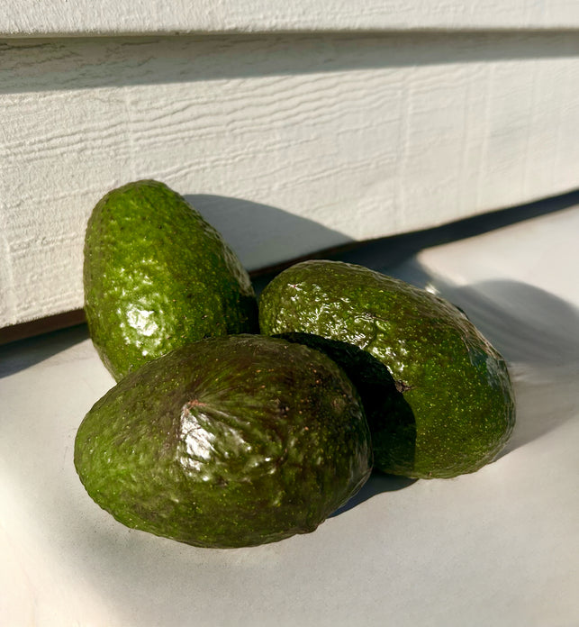 Avocados