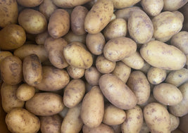 Russet Potatoes (BC)