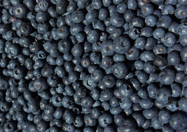 Blueberries (BC)