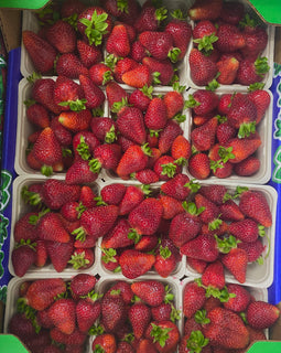 BC Strawberries