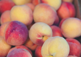 Peaches (BC)