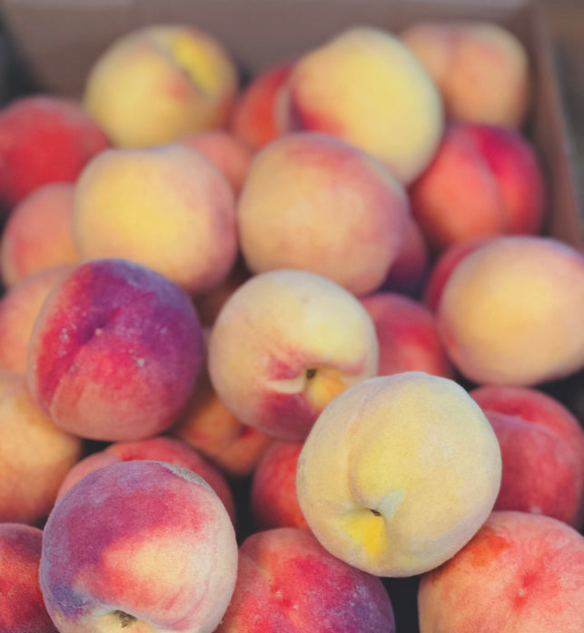 Peaches (BC)