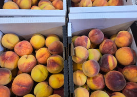 Peaches (BC)