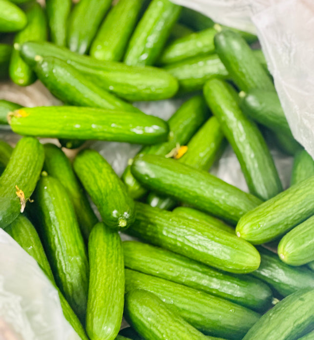 Mini Cucumbers (BC)