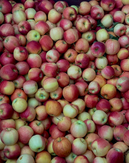 BC Gala Apples