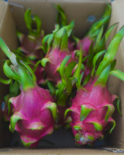 Dragon Fruit