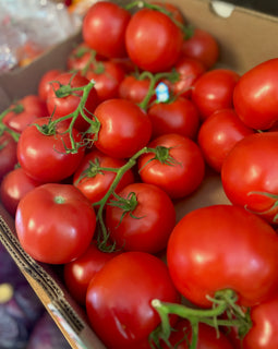 BC Hot House Tomatoes