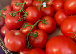 BC Hot House Tomatoes
