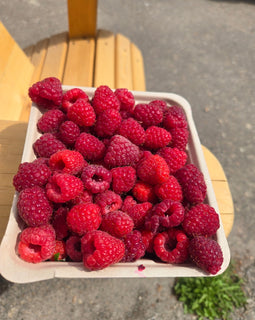 BC Raspberries