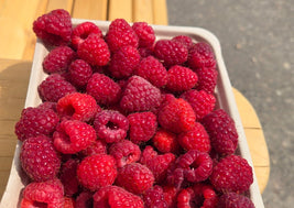 BC Raspberries