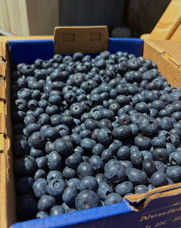 Blueberries (BC)