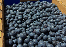 Blueberries (BC)