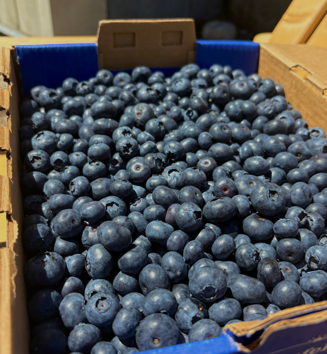 Blueberries (BC)