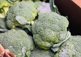Broccoli (BC)