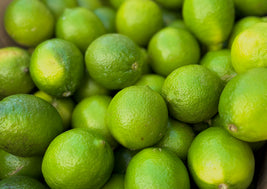Limes