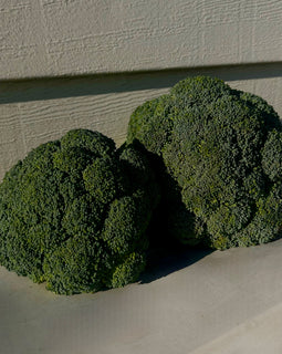 Broccoli (BC)