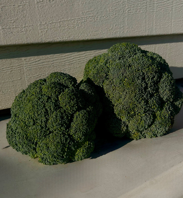 Broccoli (BC)