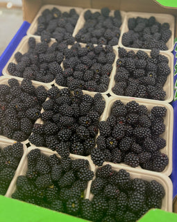 Blackberries (BC)