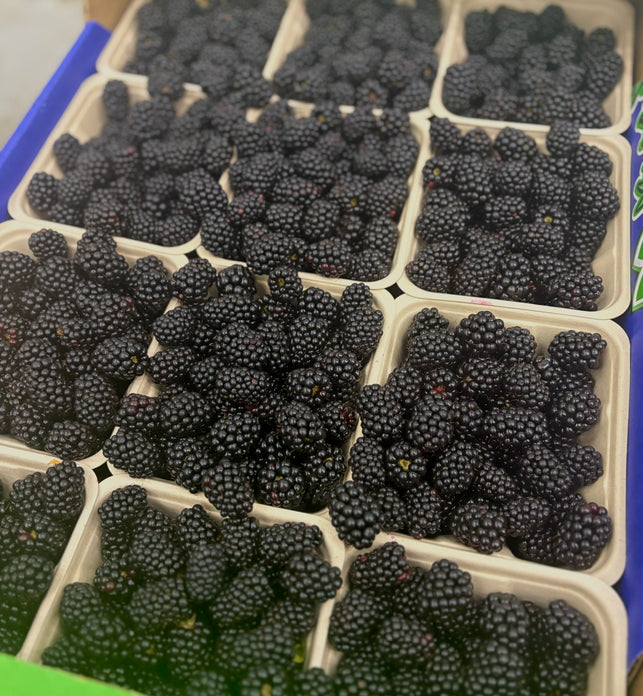 Blackberries (BC)