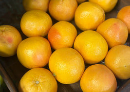 Grapefruit