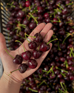 Okanagan Cherries