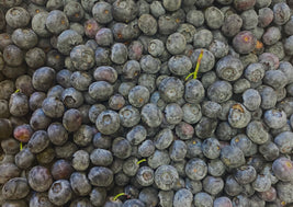 Blueberry Syrup