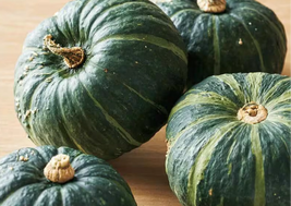 Kabocha Squash