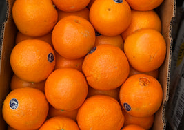 Navel Oranges