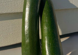 Zucchini