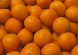 Mandarin Oranges