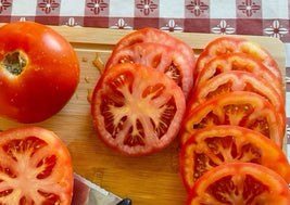 Field / Canning Tomatoes (BC)