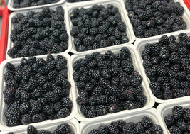 Blackberries (BC)