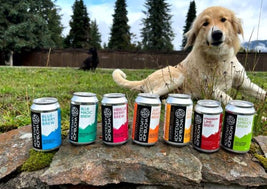 Kootenay Kombucha Amazonian Energy Brew