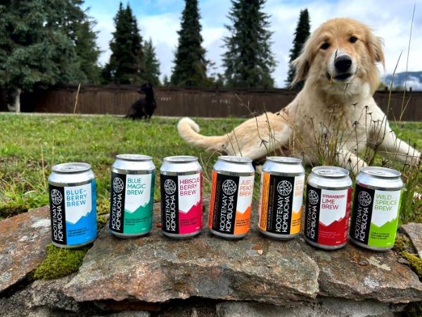 Kootenay Kombucha Amazonian Energy Brew