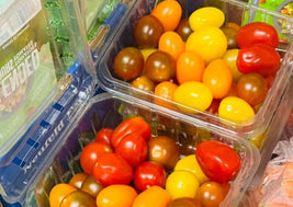 Mini Heirloom Tomatoes (BC)