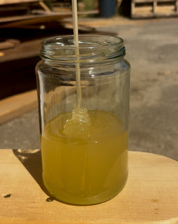 Clover Alfalfa Honey
