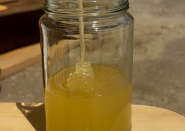 Clover Alfalfa Honey