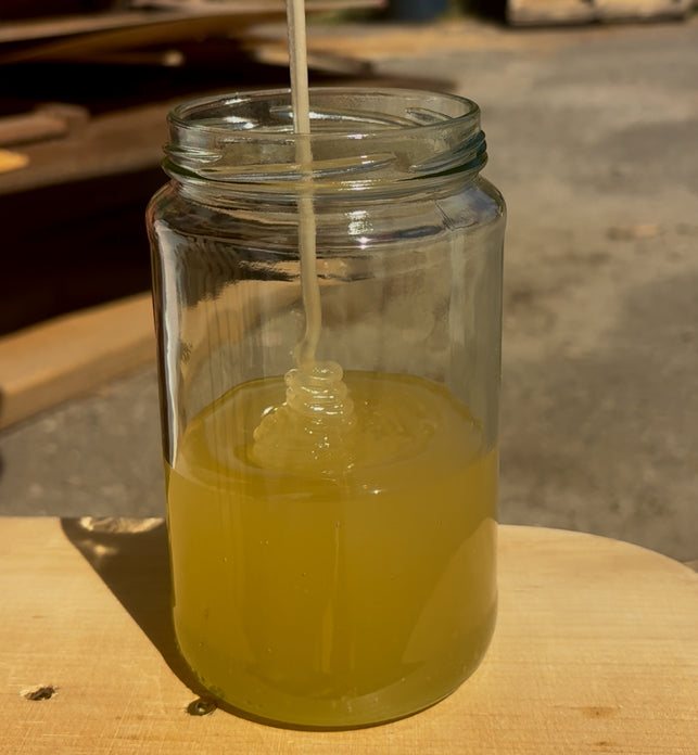 Clover Alfalfa Honey