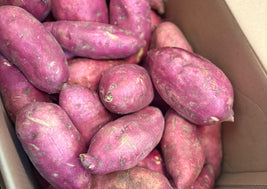 Japanese Sweet Potatoes