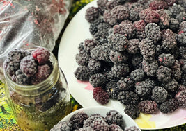 Frozen BC Blackberries
