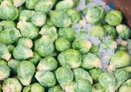 Brussel Sprouts (BC)