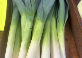 Leeks (BC)