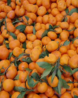 Satsuma Oranges